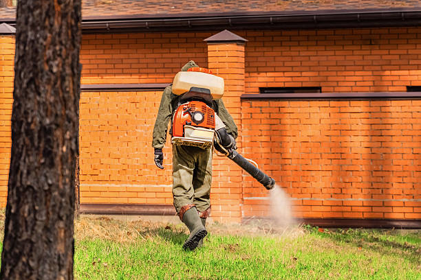 Trusted Cockroach Control service in Port Washington, WI - Nex Pest Control